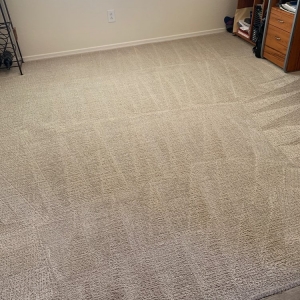 Photo of Cranmore Carpet Cleaning