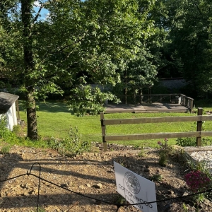 Photo of Cat-n-Bird Winery
