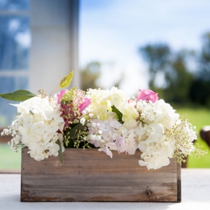 Minneapolis Naomi Anderson Events + Design