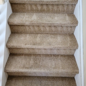 Photo of Complete Carpet Care