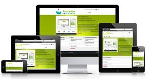 Photo of Amelia Web Works