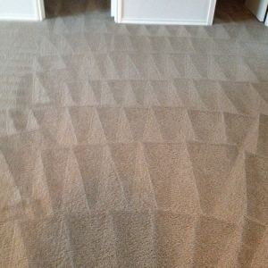 Photo of Ultimate Carpet Cleaning