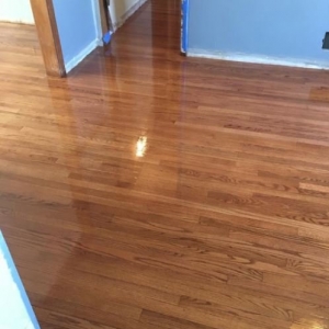 Photo of Patriot Hardwood Restoration