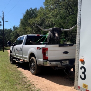 Photo of Affordable Movers of the Hill Country