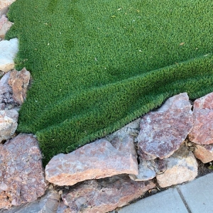 Photo of Sun Turf