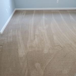 Photo of Quick Dry Carpet Cleaning
