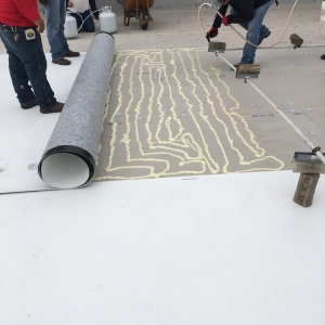 Photo of Cloud Roofing
