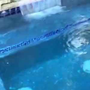 Photo of Mike's Pool Service