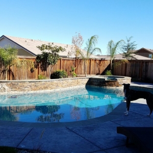 Photo of Diablo Valley Pool Service and Repair