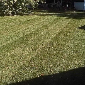 Photo of Baez Landscaping