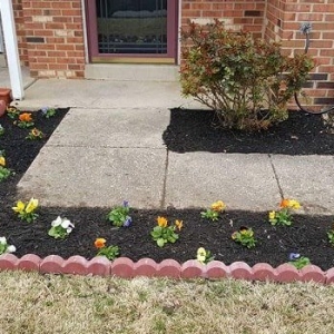 Photo of Baez Landscaping