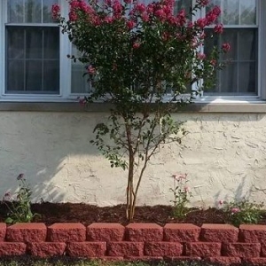 Photo of Baez Landscaping