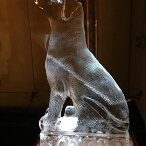 Photo of Krystal Creations Ice Art