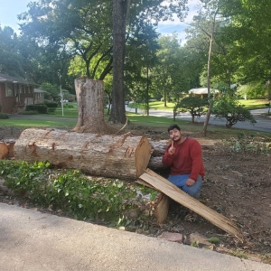 Photo of Tree Cutters of America