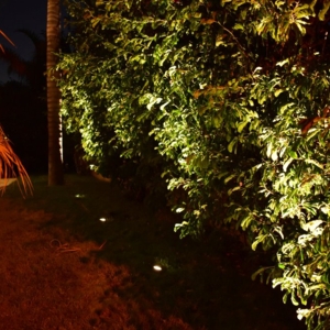Photo of Specialty Lights by HIS