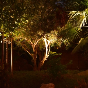 Photo of Specialty Lights by HIS