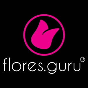 Photo of Flores Guru