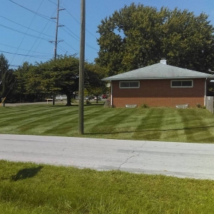 Photo of OneLove Lawn
