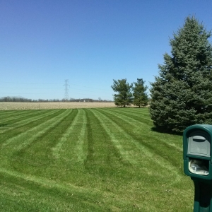 Photo of OneLove Lawn
