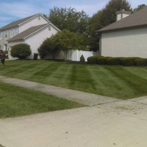 Photo of OneLove Lawn
