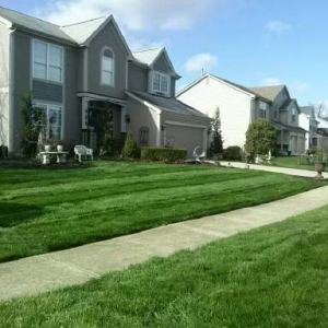 Photo of OneLove Lawn
