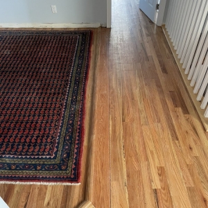 Photo of Everyday Floors