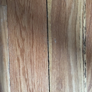 Photo of Everyday Floors
