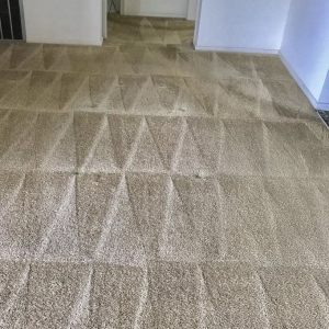 Weston Carpet & Grout Cleaning