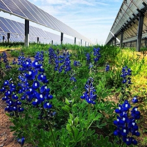 Photo of Solar Service