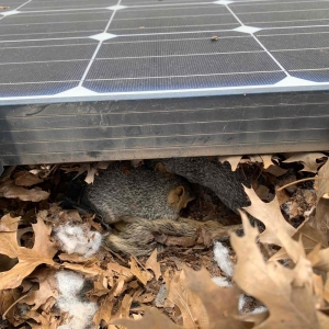 Photo of Solar Service
