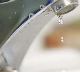 Photo of Brite Future Plumbing