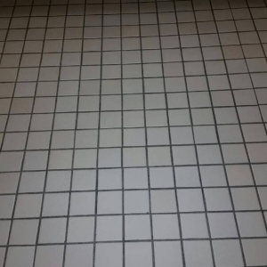 Photo of Courtesy Building Services Inc