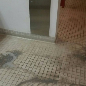 Photo of Courtesy Building Services Inc