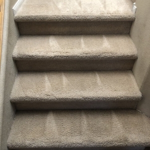 Photo of Pride Carpet and Tile Cleaning Services
