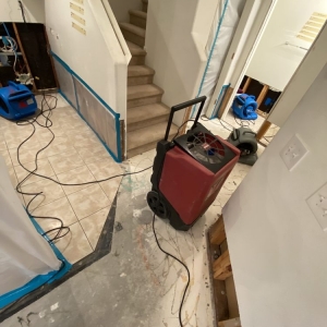 Photo of Advanced Pro Restoration