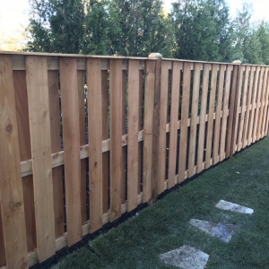 Photo of Spartan Fence