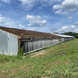 Photo of Rembert Demolition & Trash Removal