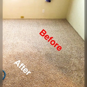 Photo of Carpet Cleaning Pros