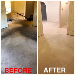 Photo of Carpet Cleaning Pros