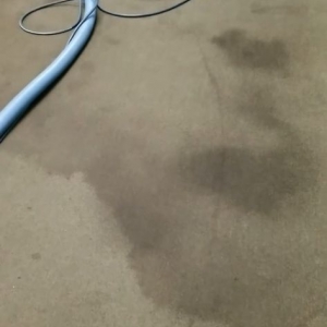 Photo of Beeper Carpet Cleaners