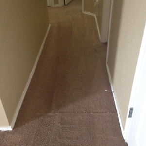 Photo of Genesis Floor Care