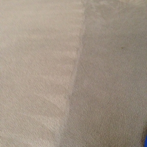 Photo of Genesis Floor Care