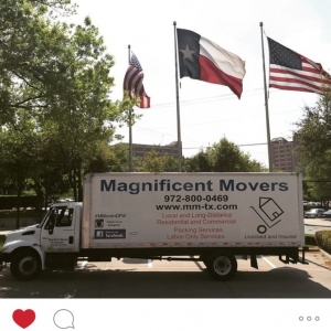 Photo of Magnificent Movers