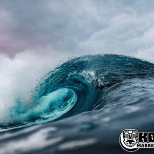 Photo of Koa Marketing