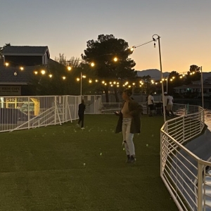 Photo of Serendipity Events