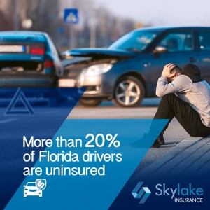 Photo of Skylake Insurance