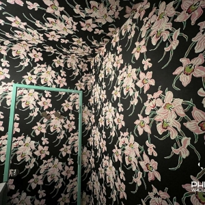 Photo of Phenom Wallcovering