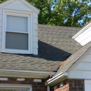 Photo of The Roof Doctor