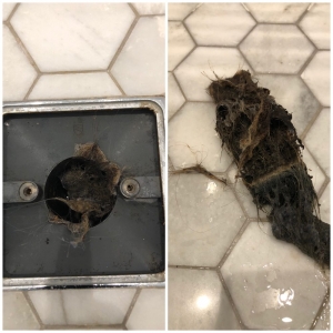 Photo of Ecogenie Cleaning