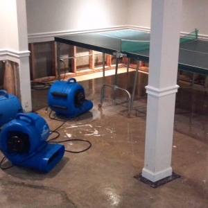 Photo of Water Damage Certified